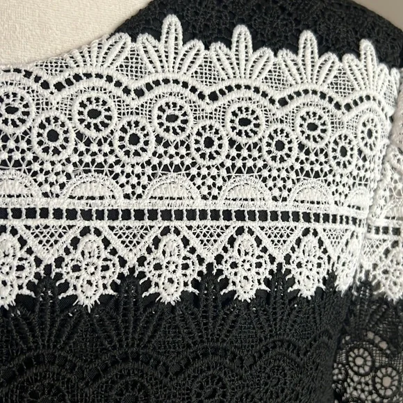 Jill Jill Stuart Classic Black and White Lace Striped Shift Dress 3/4 Sleeves 14 - Picture 6 of 12